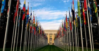 global election news and updates latest trends & insights